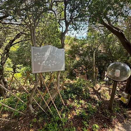 Hotel Incantevole A Porto Cervo.