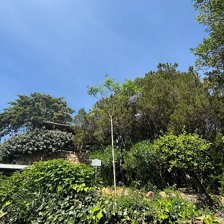Incantevole A Porto Cervo. 4*